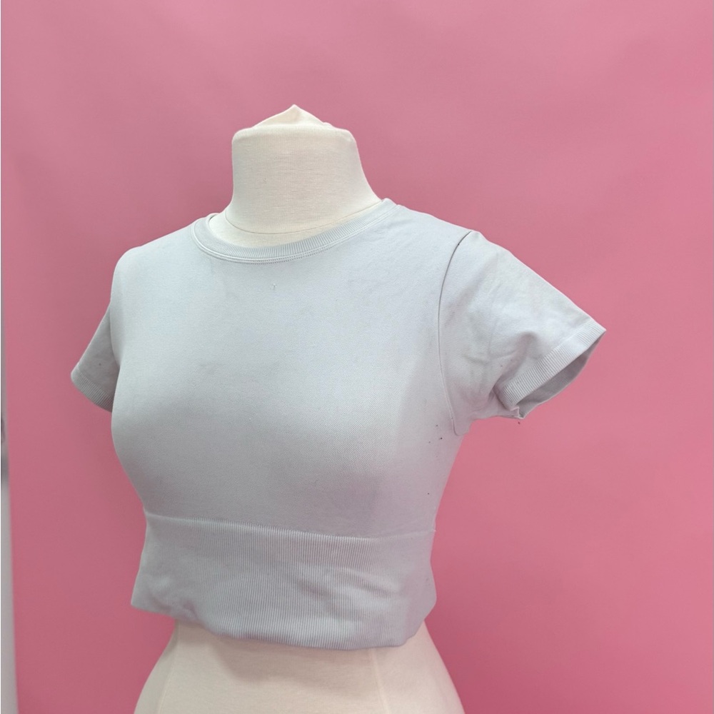 Aerie Gray Fitted Crop T-Shirt